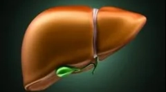 Što je jetrenider i njegov utjecaj na ljudsko tijelo